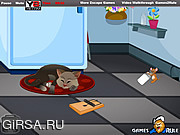 Флеш игра онлайн Освобождение из комнаты / Trap the Mouse