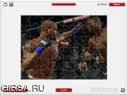 Флеш игра онлайн Военный пазл / UFC Fighters 