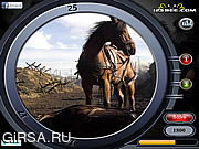 Флеш игра онлайн Найти числа - Боевой конь