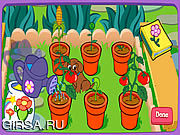 Флеш игра онлайн Волшебный сад Доры / Dora's Magical Garden